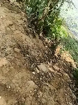 Sheela Sex90 online show from 04-17-26, 05:32