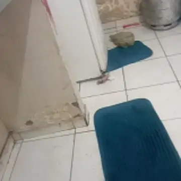 Snapshot of xxbucetudaxxx chatting on 12-20-25, 11:17 xxbucetudaxxx online show from 12-20-25, 11:17