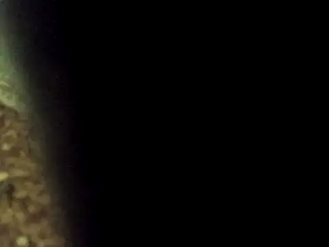 Maknithappen online show from 03-17-26, 09:34