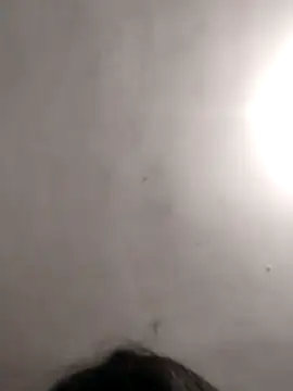 vanNe78 online show from 01-14-26, 08:25