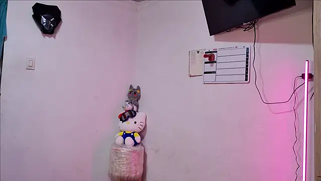 -SofiValentinaA online show from 04-25-26, 02:36