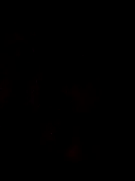 theboyas online show from 03-29-26, 06:30