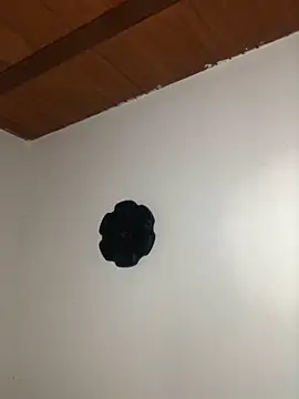 Snapshot of seth_c chatting on 03-21-26, 06:11 seth c online show from 03-21-26, 06:11