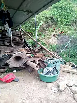 congchua977 online show from 04-17-26, 11:02