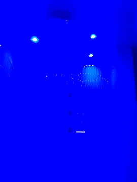 HORSELEG45 online show from 02-01-26, 03:49