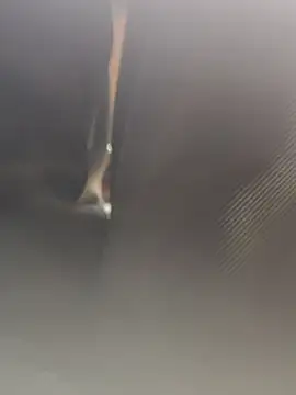 Snapshot of Cupalshow123 chatting on 01-16-26, 11:14 Cupalshow123 online show from 01-16-26, 11:14