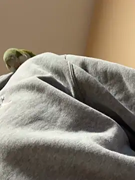 Andres56ojh online show from 02-14-26, 11:01