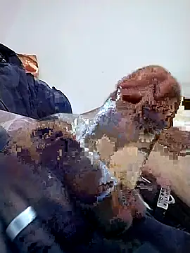 omeler online show from 02-05-26, 11:42