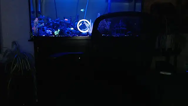 EspanolVato online show from 04-23-26, 08:24