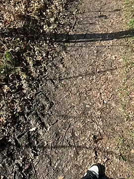 Nickwichst online show from 03-12-26, 09:15