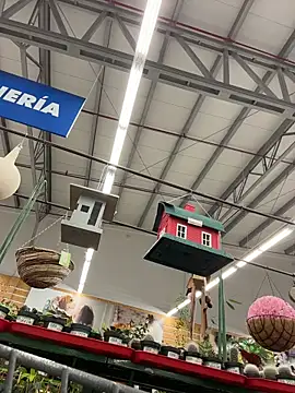 dani bela online show from 03-22-26, 10:46