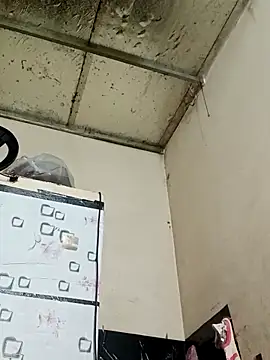 Sana-vn online show from 03-01-26, 12:23