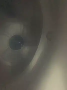 Wassimdz410 online show from 04-10-26, 08:24