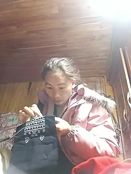 Nllpvp online show from 01-11-26, 02:49