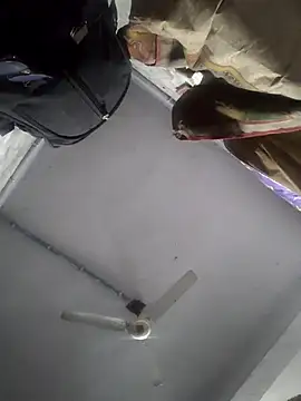 HadDrawers online show from 02-05-26, 07:35