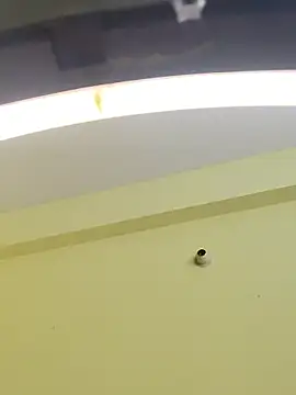 trinasa online show from 01-09-26, 08:10