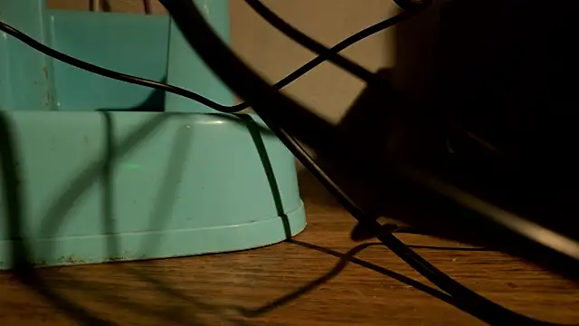 Dylann Carter online show from 03-24-26, 11:21