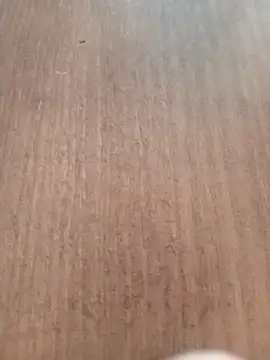 Kmali5465 online show from 02-11-26, 05:07