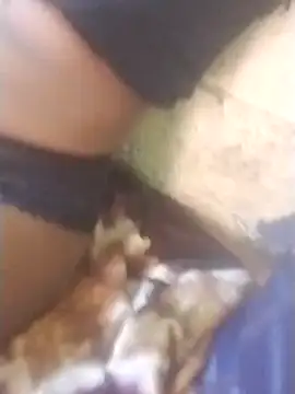 TRACYTOTO26 online show from 02-14-26, 08:55