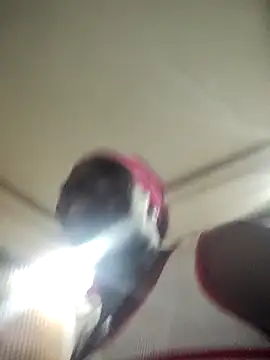 EngelSmith  online show from 02-05-26, 12:21