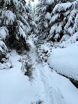 Marina und Jayden online show from 02-18-26, 02:24