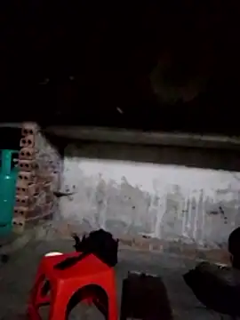 cdyyds-69 online show from 02-02-26, 10:41