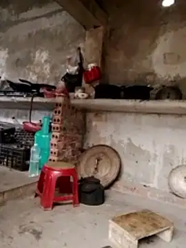 cdyyds-69 online show from 02-05-26, 05:23