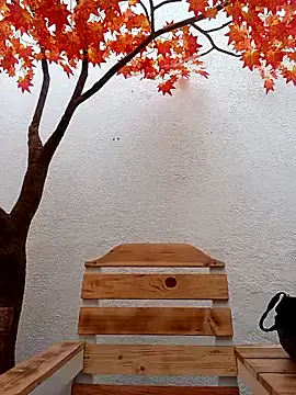 Dante Knox online show from 02-15-26, 11:52