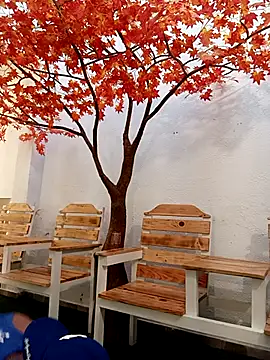 Dante Knox online show from 02-24-26, 11:41