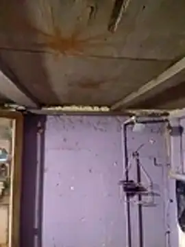 Snapshot of Guanatos13 chatting on 02-02-26, 05:17 Guanatos13 online show from 02-02-26, 05:17