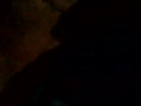 Snapshot of Guanatos13 chatting on 02-24-26, 04:21 Guanatos13 online show from 02-24-26, 04:21