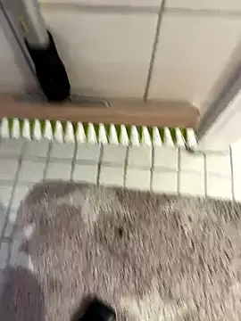 Snapshot of Hamsterdich chatting on 01-18-26, 04:00 Hamsterdich online show from 01-18-26, 04:00