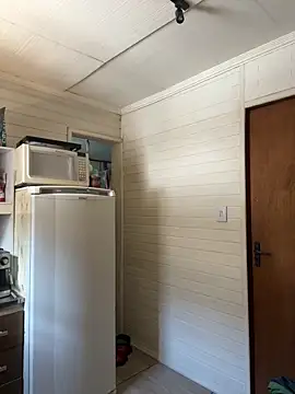 dogfrota online show from 03-06-26, 02:46