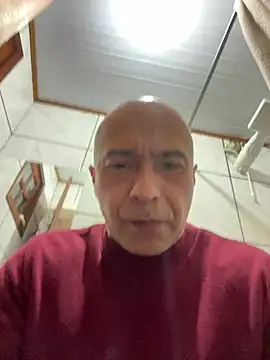dogfrota online show from 06-12-26, 09:14