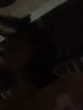 sun-shii online show from 04-10-26, 10:47