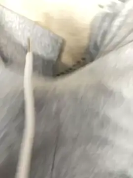 Bebun online show from 01-17-26, 03:00