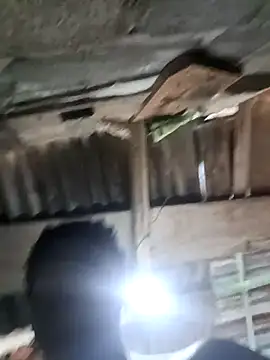 Pasivitoii online show from 03-21-26, 08:01