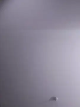 NickoHetero online show from 02-10-26, 10:03