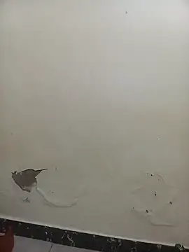 PatriciaVen online show from 02-07-26, 05:44