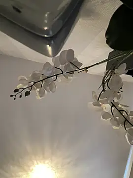 Princess-ivyxoxo online show from 07-20-26, 11:34