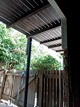 dicklife3485 online show from 02-12-26, 08:53