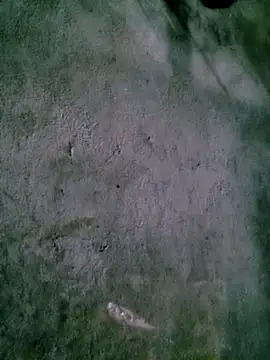 Diana-02 online show from 02-15-26, 08:13