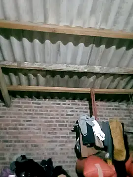 Diana-02 online show from 02-28-26, 11:55