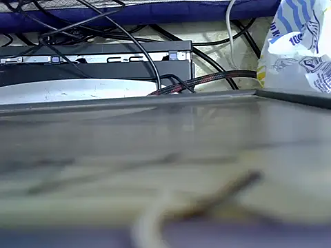 tekashi667 online show from 07-31-26, 06:51
