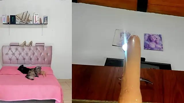 harper funny online show from 04-20-26, 06:09