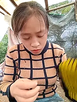 Hari-saka online show from 02-24-26, 03:04