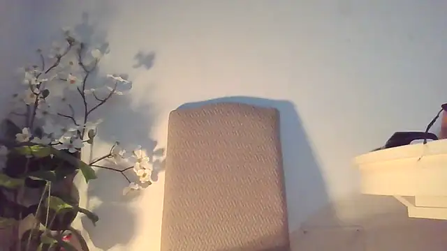 Dolcezzastella online show from 03-01-26, 07:43