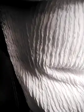 RosseLaure online show from 02-25-26, 07:56