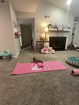 Snapshot of Pink_mink21 chatting on 02-03-26, 03:48 Pink mink21 online show from 02-03-26, 03:48