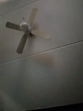 dewimp1 online show from 02-03-26, 08:52